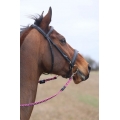 Whinny Plaited Horse Reins With Rein Clips
